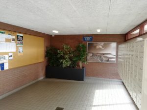 IMG_20200210_144757