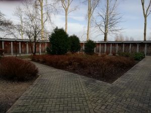 IMG_20200210_144854