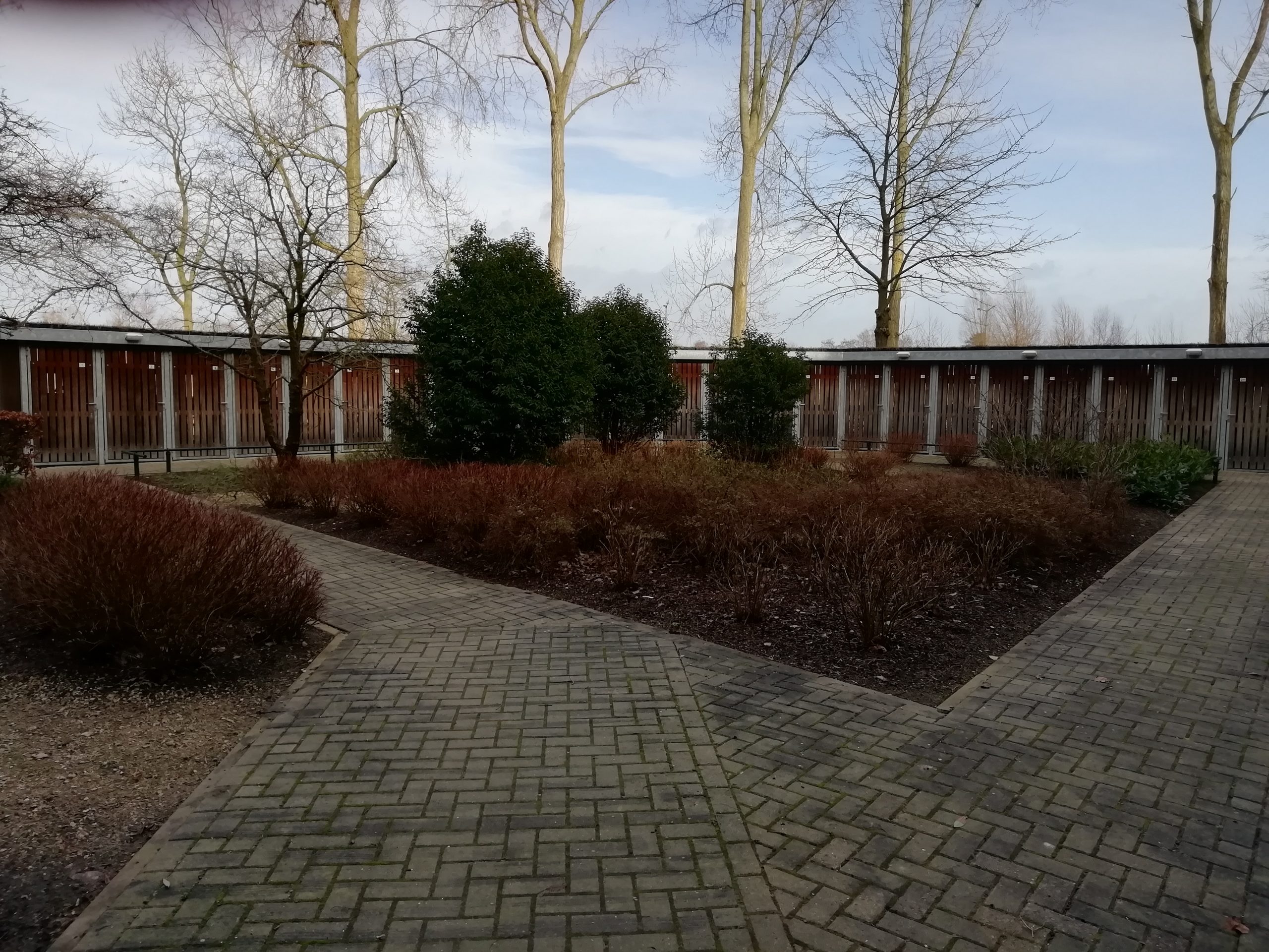 IMG_20200210_144854