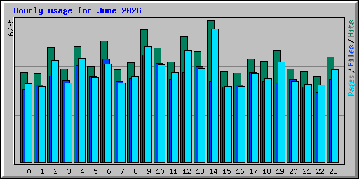 Hourly usage for June 2026