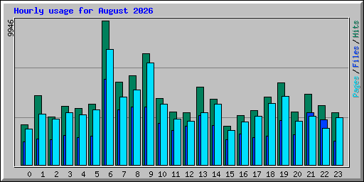 Hourly usage for August 2026